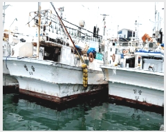  2025Ÿ10560 ֽ          ڰ