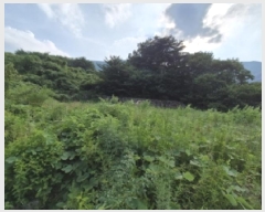  2025Ÿ��10576 ��� ���ֽ� �곻�� ������ 2652-3      ����(�Ӿ�)���