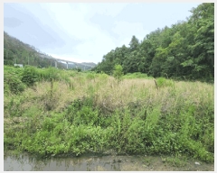  2025Ÿ��10608 ��� ���ֽ� ������ ������ 144      ����(��)���