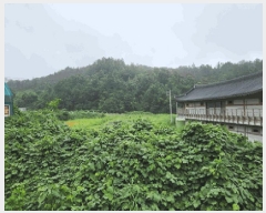  2025Ÿ��10608 ��� ���ֽ� ������ ������ 144      ����(��)���