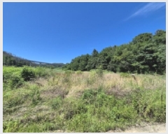  2025Ÿ��10608 ��� ���ֽ� ������ ������ 144      ����(��)���