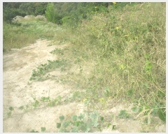  2025Ÿ��10612 ��� ���ֽ� ������ �Ȱ踮 ��31-32      ����(�Ӿ�)���