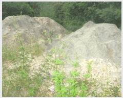  2025Ÿ��10612 ��� ���ֽ� ������ �Ȱ踮 ��31-32      ����(�Ӿ�)���