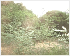  2025Ÿ��10612 ��� ���ֽ� ������ �Ȱ踮 ��31-32      ����(�Ӿ�)���