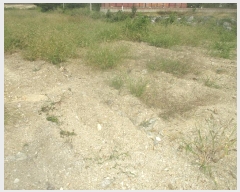  2025Ÿ��10612 ��� ���ֽ� ������ �Ȱ踮 ��31-32      ����(�Ӿ�)���