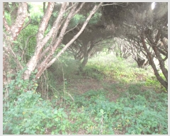  2025Ÿ��10612 ��� ���ֽ� ������ �Ȱ踮 ��31-32      ����(�Ӿ�)���