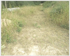  2025Ÿ��10612 ��� ���ֽ� ������ �Ȱ踮 ��31-32      ����(�Ӿ�)���