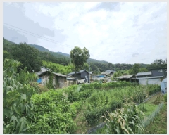  2025Ÿ��10628 ��� ���ֽ� ��õ�� �� 66-3      ����(��)���