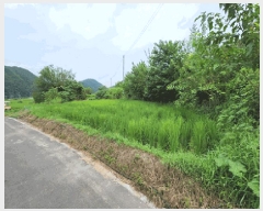  2025Ÿ��10628 ��� ���ֽ� ��õ�� �� 66-3      ����(��)���