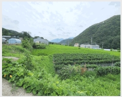  2025Ÿ��10628 ��� ���ֽ� ��õ�� �� 66-3      ����(��)���