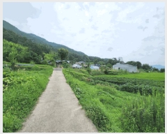  2025Ÿ��10628 ��� ���ֽ� ��õ�� �� 66-3      ����(��)���