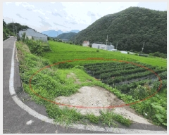  2025Ÿ��10628 ��� ���ֽ� ��õ�� �� 66-3      ����(��)���