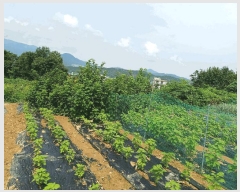  2025Ÿ��10635 ��� ���ֽ� �ܵ��� ��ȭ�� 610-1      ����(����)���