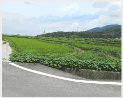  2025Ÿ��10635 ��� ���ֽ� �ܵ��� ��ȭ�� 610-1      ����(����)���