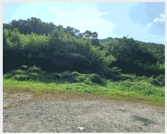  2025Ÿ��10644 ��� ���ֽ� ������ ��150       ����(�Ӿ�)���