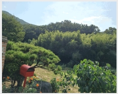  2025Ÿ��10644 ��� ���ֽ� ������ ��150       ����(�Ӿ�)���