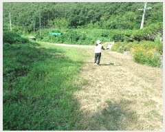  2025Ÿ��10644 ��� ���ֽ� ������ ��150       ����(�Ӿ�)���