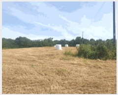  2025Ÿ��10648  �����