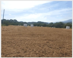  2025Ÿ��10648  �����