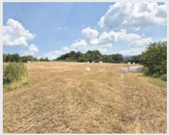  2025Ÿ��10648  �����