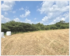  2025Ÿ��10648  �����