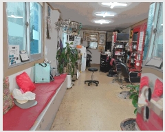  2025Ÿ��10652 ��� ���ֽ� �Ȱ��� ��븮 2388-6      �ܵ�����,�����ð��