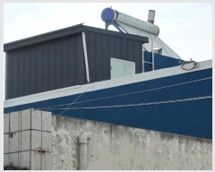  2025Ÿ��10652 ��� ���ֽ� �Ȱ��� ��븮 2388-6      �ܵ�����,�����ð��