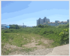  2025Ÿ��10660 ��� ���ֽ� ������ ������ 419      ����(��1)���