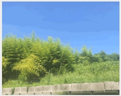  2025Ÿ��10660 ��� ���ֽ� ������ ������ 419      ����(��1)���