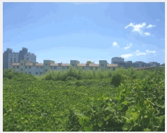  2025Ÿ��10660 ��� ���ֽ� ������ ������ 419      ����(��1)���