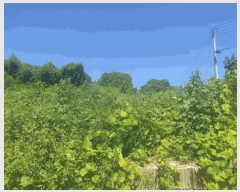  2025Ÿ��10660 ��� ���ֽ� ������ ������ 419      ����(��1)���