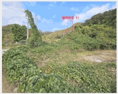  2025Ÿ��10678  ����