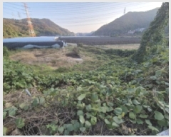  2025Ÿ��10678  ����