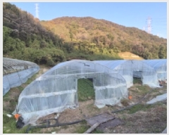  2025Ÿ��10678  ����