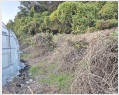  2025Ÿ��10678  ����