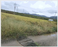  2025Ÿ��10728  ����