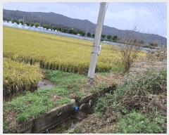  2025Ÿ��10728  ����