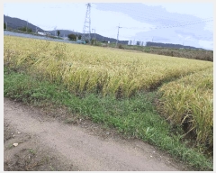  2025Ÿ��10728  ����