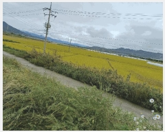  2025Ÿ��10728  ����