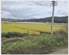  2025Ÿ��10728  ����