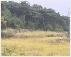  2025Ÿ��10734 ��� ���ֽ� �ܵ��� �Ű踮 545      ����(��)���