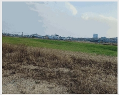  2025Ÿ��10794 ��� ���ֽ� �糲�� �ϼ��� 505      ����(��)���