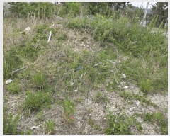  2025Ÿ332  ֽ   295-25      (Ӿ)