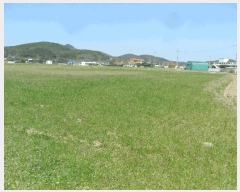  2025Ÿ356  ֽ  õ 850-2      ()