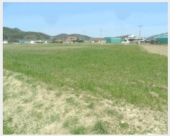  2025Ÿ356  ֽ  õ 850-2      ()