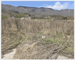  2025Ÿ��360  �����