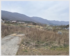  2025Ÿ��360  �����