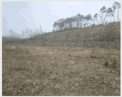  2025Ÿ376  ֽ ܵ õ 120-3      (Ӿ)