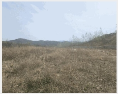  2025Ÿ376  ֽ ܵ õ 120-3      (Ӿ)