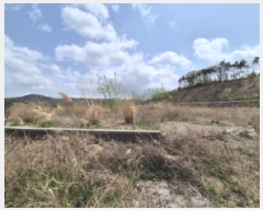  2025Ÿ376  ֽ ܵ õ 120-3      (Ӿ)